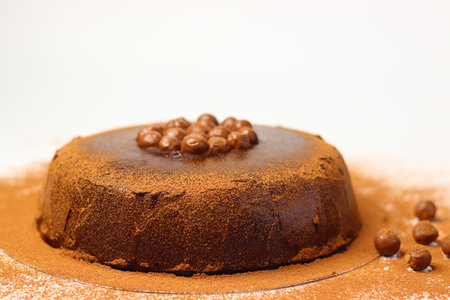 Rich chocolate cake topped with crunchy chocolate coated nuts, dusted with cocoa powder. Made with high quality cocoa and dark chocolate, it offers antioxidants and mood boosting indulgenceの写真素材