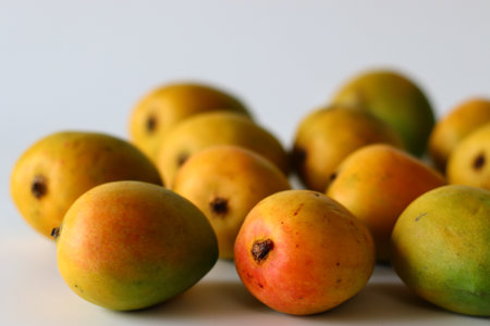 Lalbagh Mangoes. Ripe Lalbagh mangoes with golden-red skin, known for their juicy pulp and sweet aroma. A tropical Indian fruit rich in vitamin C, fibre and antioxidants, perfect for summer treatsの写真素材