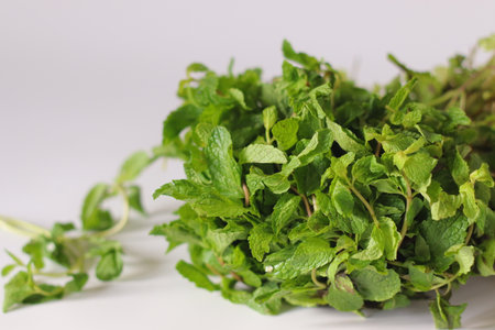 Fresh mint or pudina leaves with vibrant green colour and textured edges, bundled together on a...