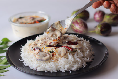 Brinjal Raita with Rice, Indian Yogurt Eggplant Mealの写真素材