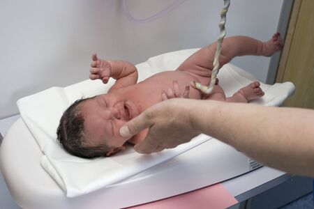 A doctor is checking the newborn babyの写真素材