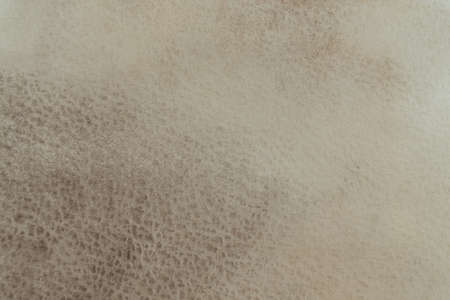 Hand drawn watercolor abstract background. Beige color. Retro, vintage paperの写真素材