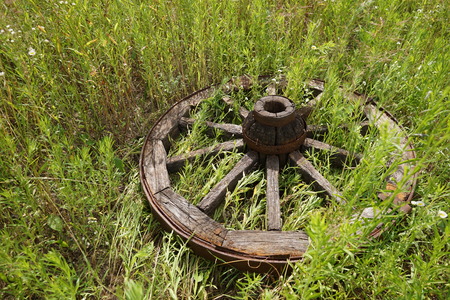 wooden wheel is on a green grassの写真素材