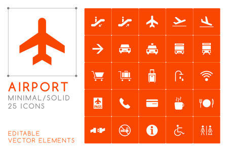Set of 25 Universal Airport Icons on Color Background . Isolated Elementsのイラスト素材