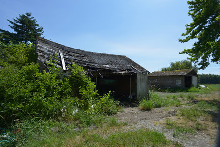 old garage that is about to fall downの写真素材