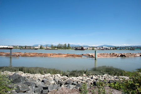 log booms on fraser riverの写真素材