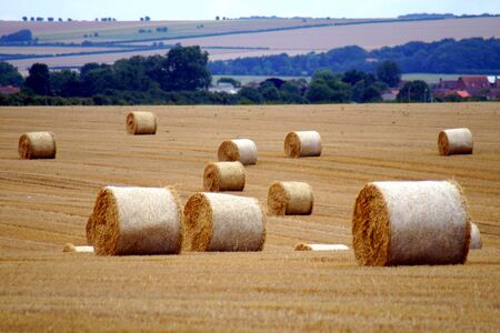Field With Straw Balesの写真素材
