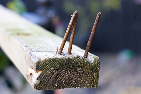 Three rusty nails embedded in a piece of woodの写真素材