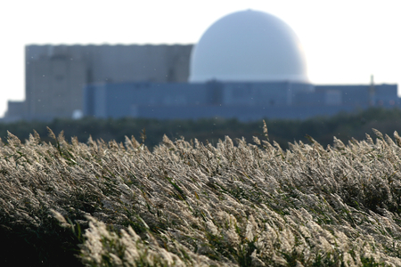 Sizewell nuclear power station backdrops grasses at RSPB Minsmere nature reserve, Saxmundham, Suffolk, Englandのeditorial素材