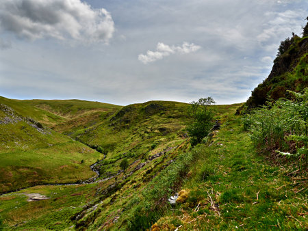 Off the Beaten Track in a Welsh Valleyの写真素材