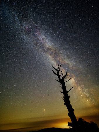 The Milky Way and Mars Rise. The milky way clearly seen on a starry night with Mars rising just above the horizon. In the foreground is a dead tree reaching out to the universe.の写真素材