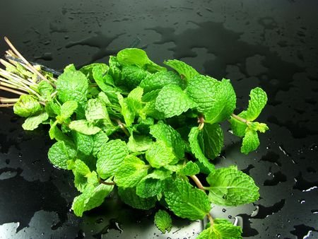 a bunch of fresh mint on black background whit drops water