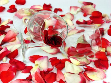 two glass cup with red rose and petal backgroundの写真素材