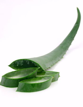 slices of aloe vera plantの写真素材