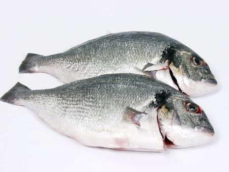 two fresh Fish for sale in the marketの写真素材