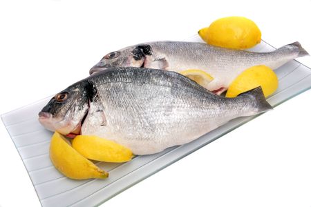 two fresh Gilthead Bream head on white backgroundの写真素材