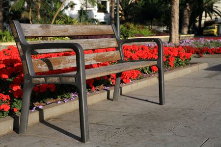 empty bench in the park with red flowersの写真素材
