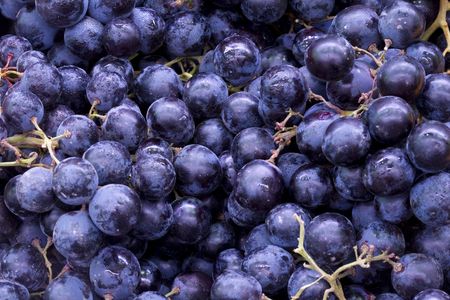 a box of fresh blue grapes for make red wine