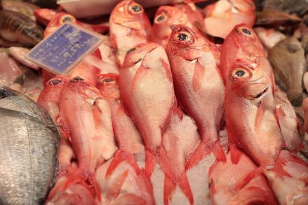 fresh Gilthead Bream and red fish on iceの写真素材