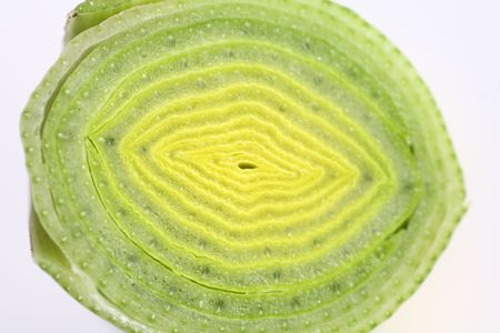 extreme macro close up of cut celeryの写真素材