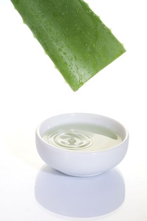  Aloe Vera sliced leaf with juice drop on white bowlの写真素材