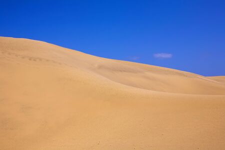 Sand Dune with Wind Textures in the Desert in Moroccoの写真素材
