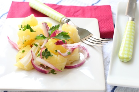 fresh potato salad with onion and parsleyの写真素材