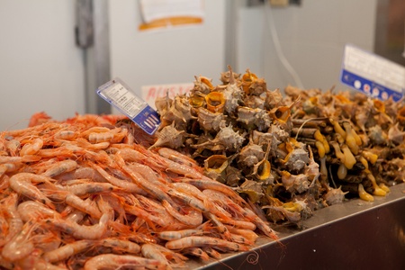 shrimp and other seafood on local marketの写真素材