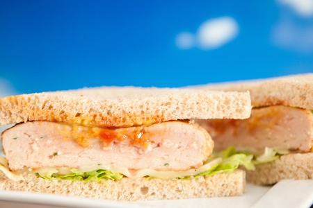 Juicy homemade chicken burger with lettuce and cheeseの写真素材