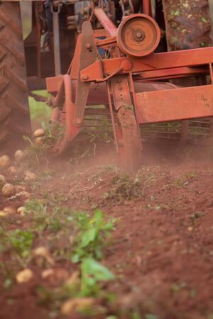 working in potato field with old crawlerの写真素材