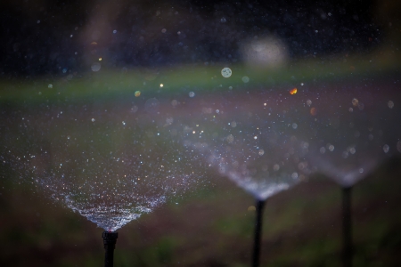 water irrigation of potato field on sunny dayの写真素材