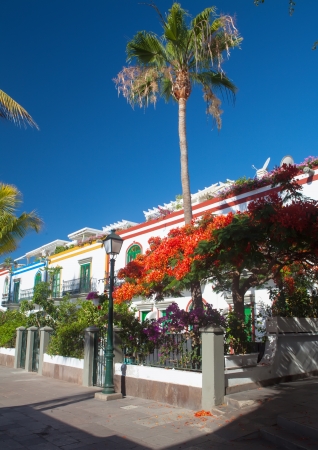 mediterranean village with flowers and blue skyの写真素材