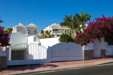 New residential houses with bouganvilles flower and palmsのeditorial素材
