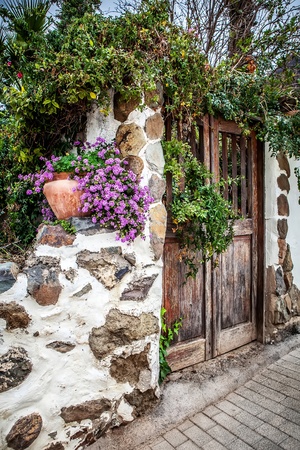 old wooden door in garden with pink flowerの写真素材