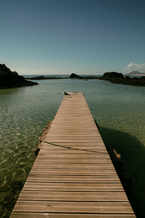 a seagull on wooden dock on a sunny day in vintage styleの写真素材