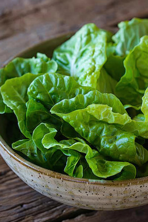 Different types of salads with various lettuces and gourmet tomatoes served in bowls or ready to take awayの素材