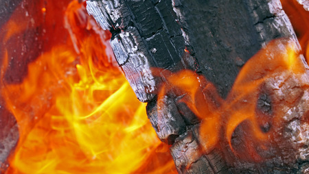 burning firewood in mongale