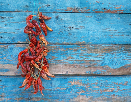 Dried red chili peppers on a wallの写真素材
