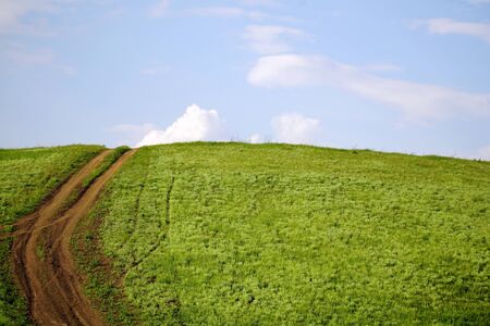 dirty winding road through the green hill. beautiful summer meadow in the sunlightの写真素材