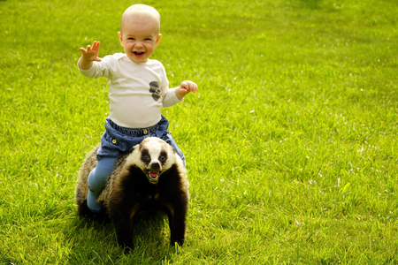small boy sits astride a scarecrow badger in the gardenの写真素材