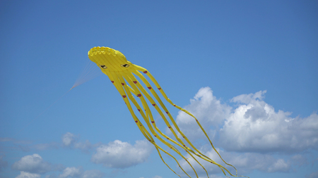 A kite flies in the sky close up.の写真素材