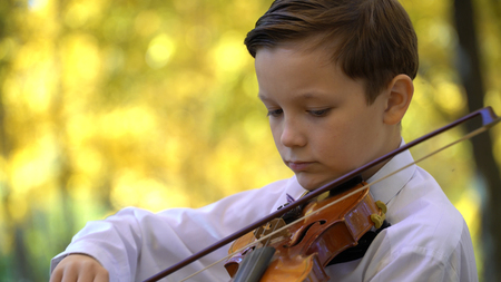 young guy playing the violin in the autumn park.