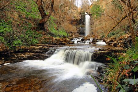Waterfall into a dark forestの写真素材