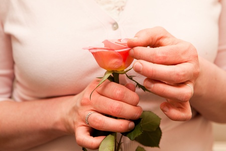 hand holding roseの写真素材