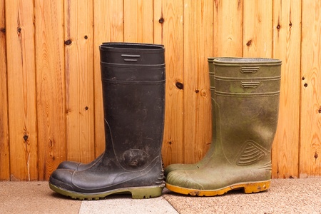 Wellington Bootsの写真素材