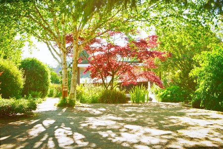 A shaded garden courtyard with spring colorの写真素材