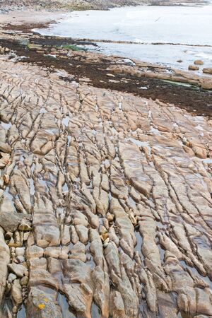Detailed image of coastal rock formation in the UKの写真素材