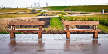 Two wooden benches in a modern gardenの写真素材
