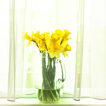 Fresh spirng daffodils in a glass jug in subtle vintage tonesの写真素材