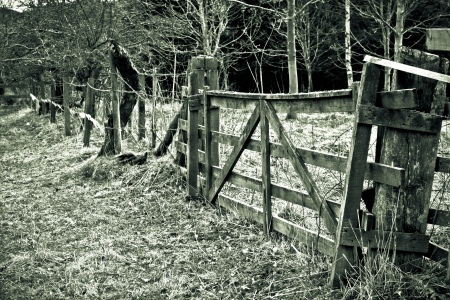 Old farm gate in the countryside in monochromeの写真素材